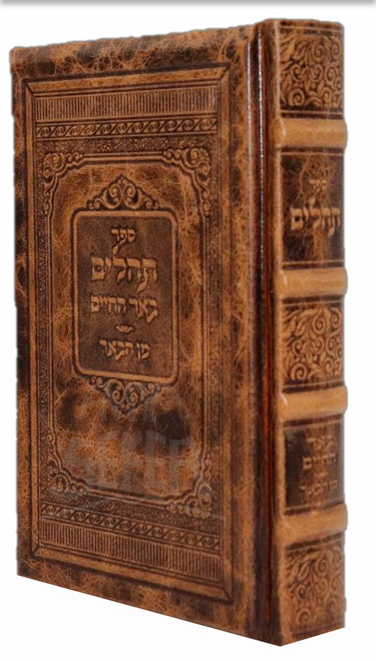 Sefer Tehillim Beer HaChaim / תהילים באר החיים