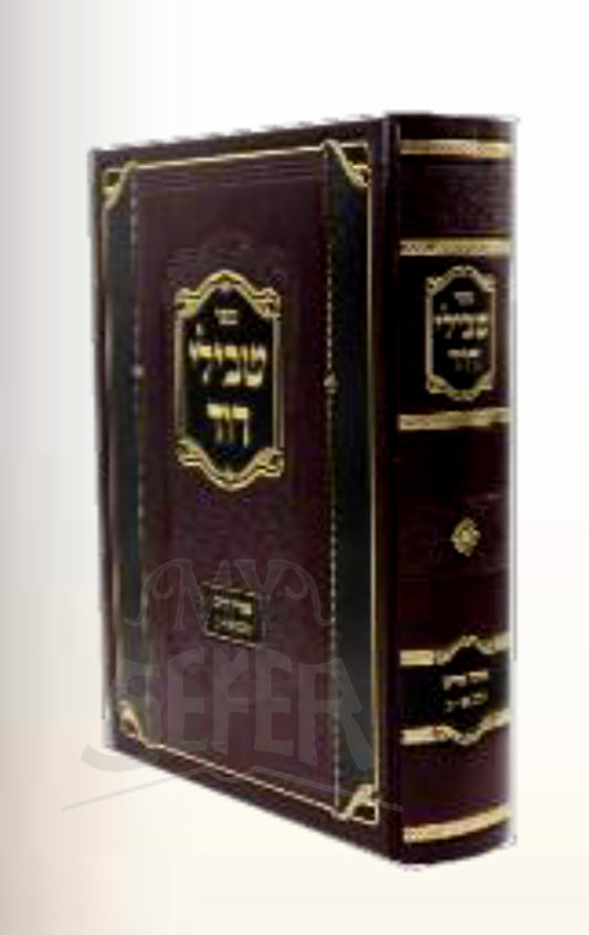 Sefer Tvilei Dovid / ספר טבילי דוד
