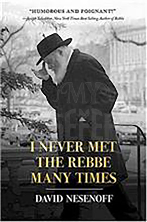 I Never Met The Rebbe Many Times