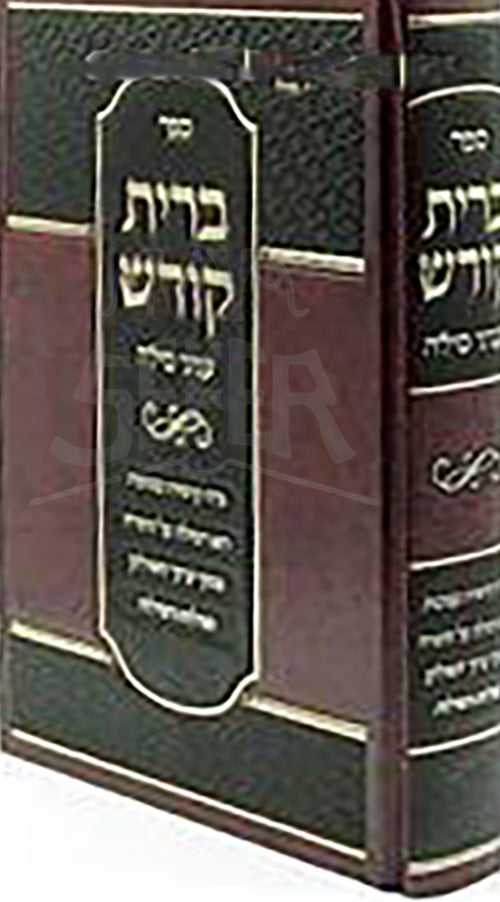 Brit Kodesh : Inyanei Milah