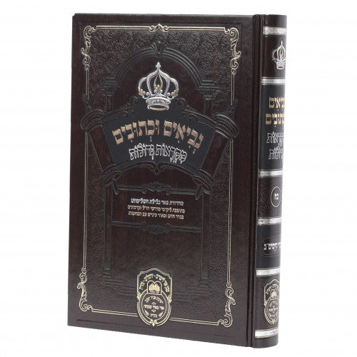 Nevi'im U'Kesuvim - Divrei HaYomim Volume 2 / 'נביאים וכתובים - דברי הימים ב