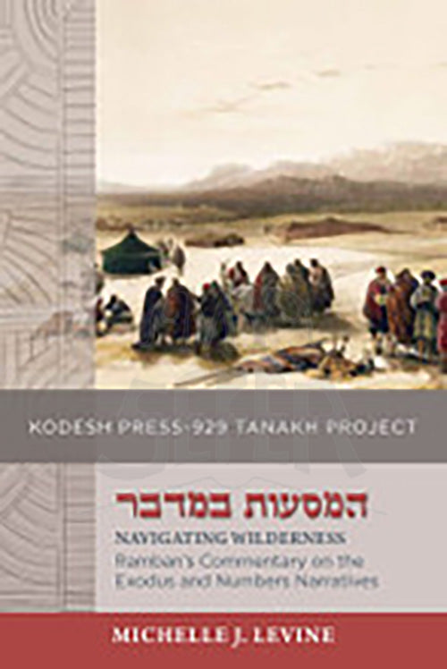 Navigating Wilderness, Michelle J. Levine
