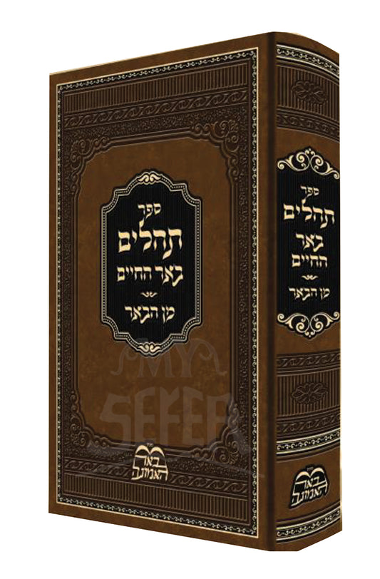 Tehillim Beer HaCHaim - Rabbi Biderman / תהילים באר החיים- הרב בידרמן