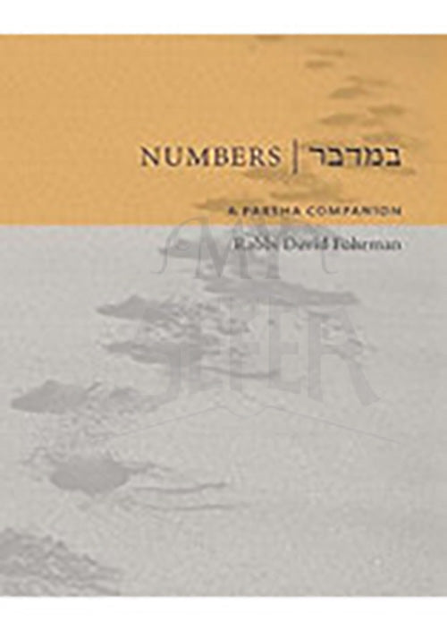 Numbers: A Parsha Companion by Rabbi David Fohrman