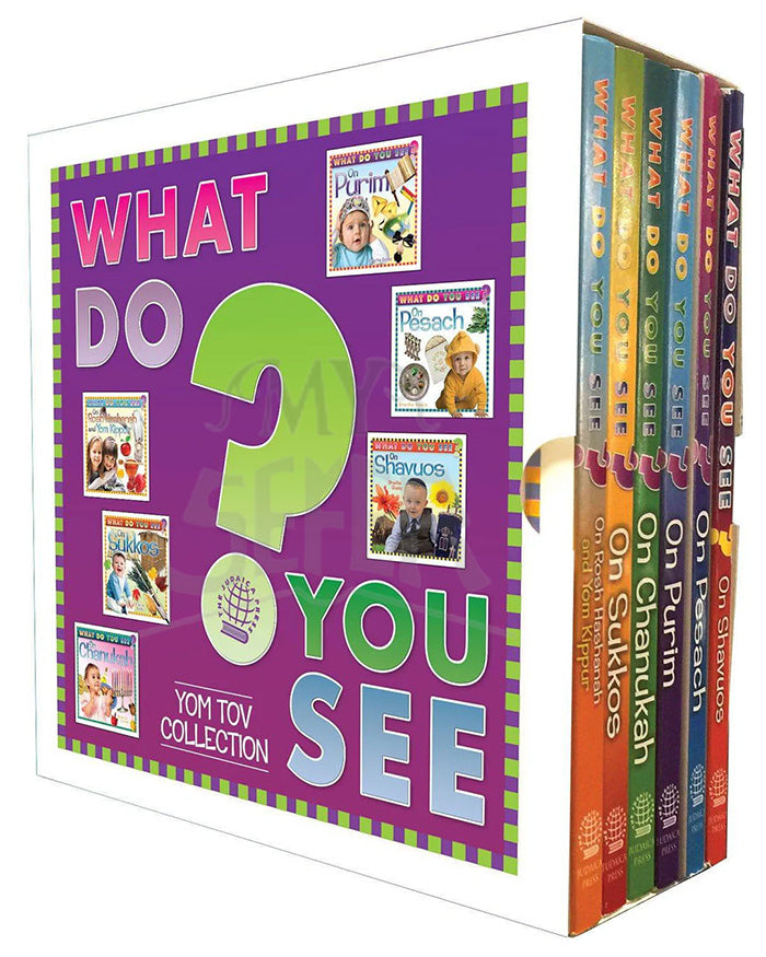 What Do You See? 6-vol. Slipcased Yom Tov Collection