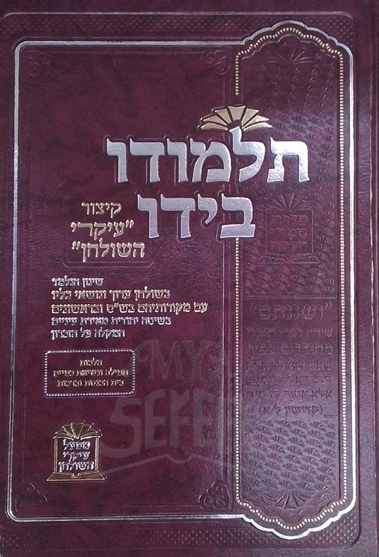 Talmudo B'Yado / תלמודו בידו