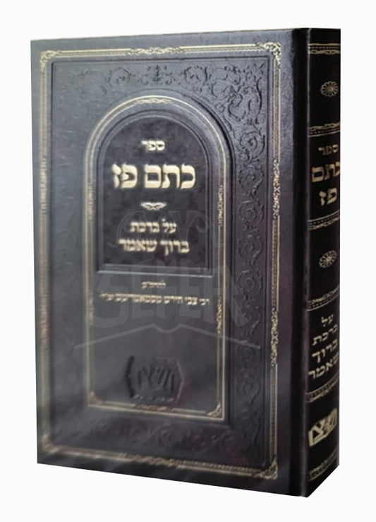 Ketem Paz / כתם פז