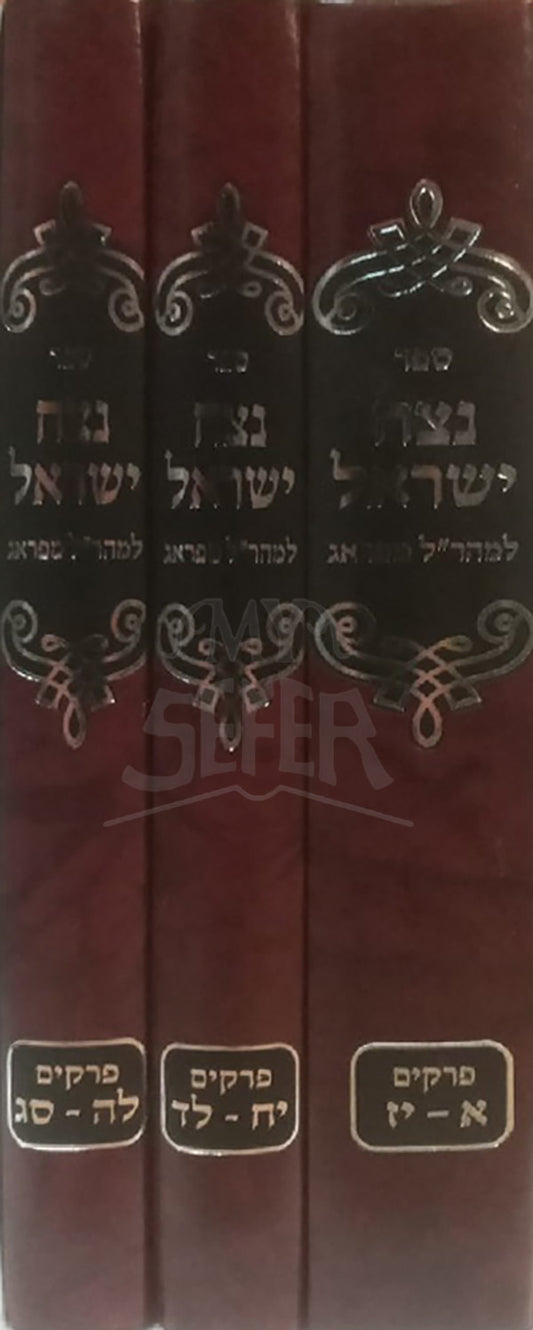 Netzach Yisroel 3 Volume Set / נצח ישראל