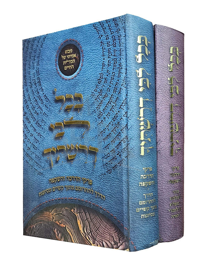 Bechol Libi Derashticha / בכל ליבי דרשתיך