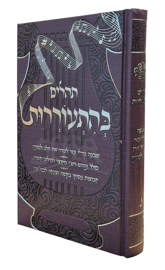 Tehillim BeHitaorerot / תהילים בהתעוררות
