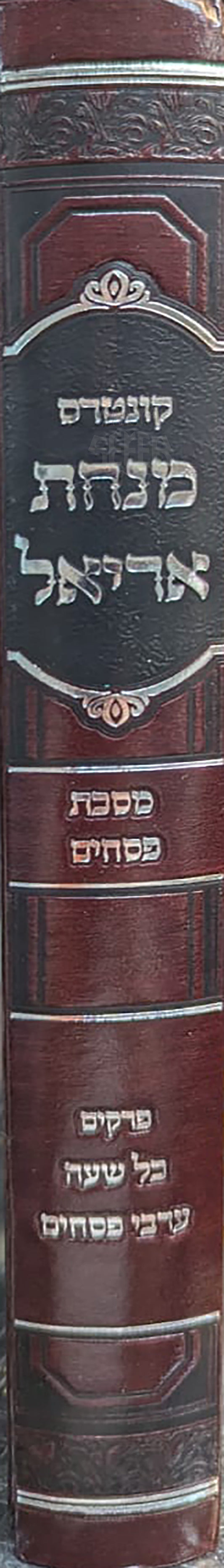 Kuntres Minchat Ariyel - Masechet Pesachim / קונטרס מנחת אריאל-מסכת פסחים