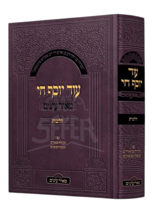 Od Yosef Chai / עוד יוסף חי