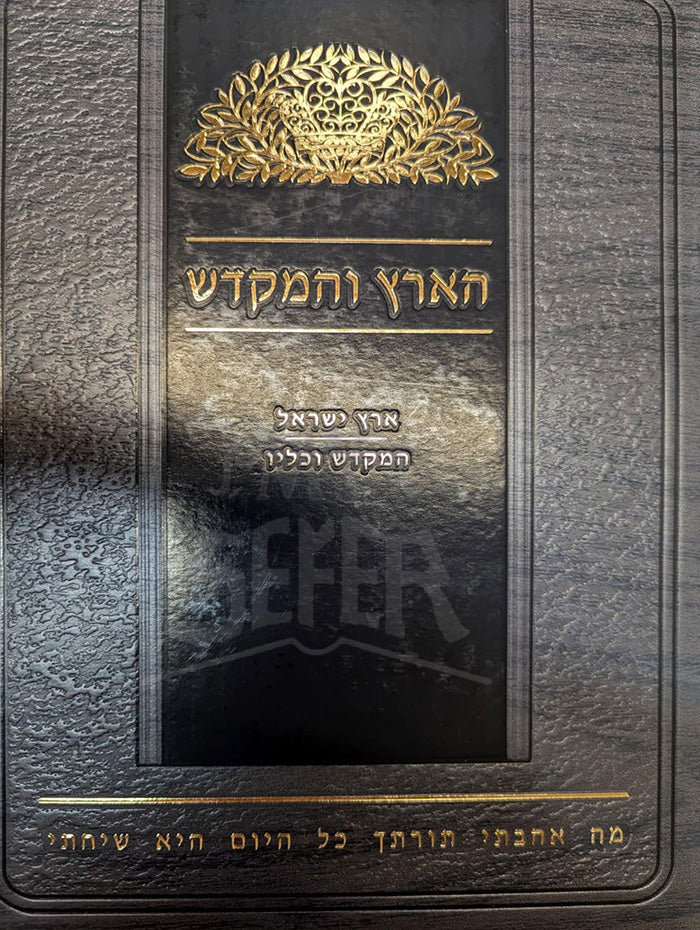 Haaretz VeHamekadesh / הארץ והמקדש