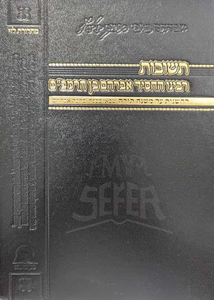 Teshuvos Rabbeinu HaChassid Avraham Ben HaRambam / תשובות רבינו החסיד אברהם בן הרמב"ם