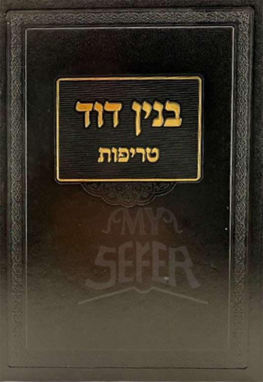 Binyan David / בנין דוד