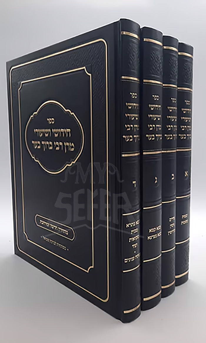Chidushei VeShiurei R' Baruch Ber 4 Volume Set /  חידושי ושיעורי רבי ברוך בער 4 כרכים