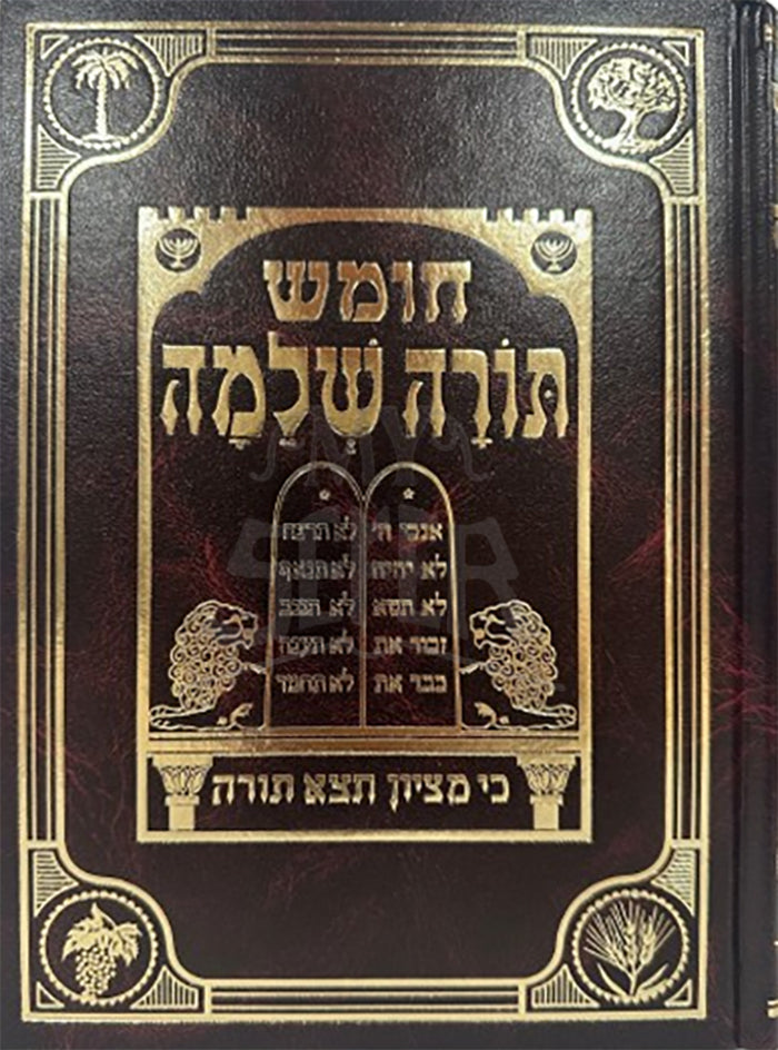 Chumash Torah Shlomo Devarim / חומש תורה שלמה דברים