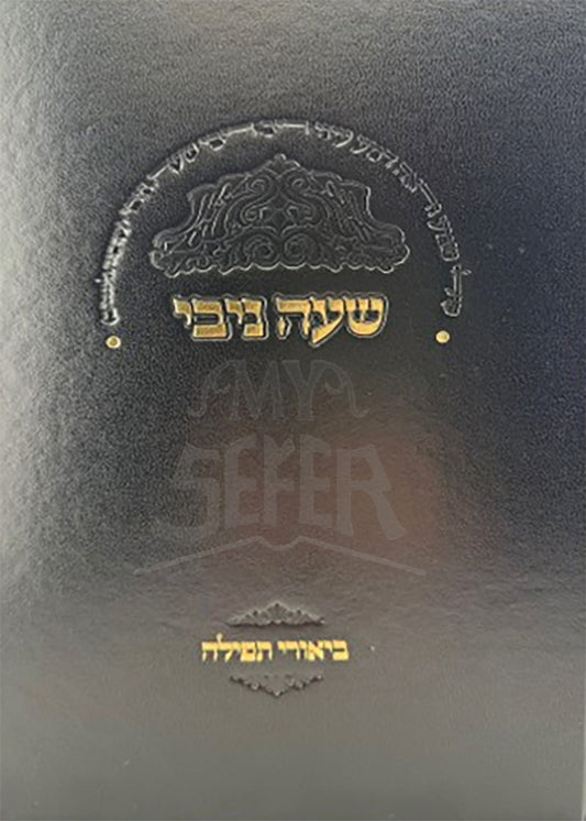 Sha'ah Niv'i / שעה ניבי