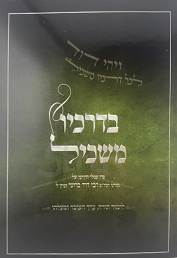 Bederechio Maskiyl Volume 2 / בדרכיו משכיל ב