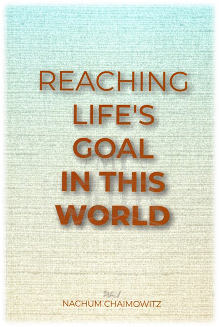 REACHING LIFE'S GOAL IN THIS WORLD - S/C
