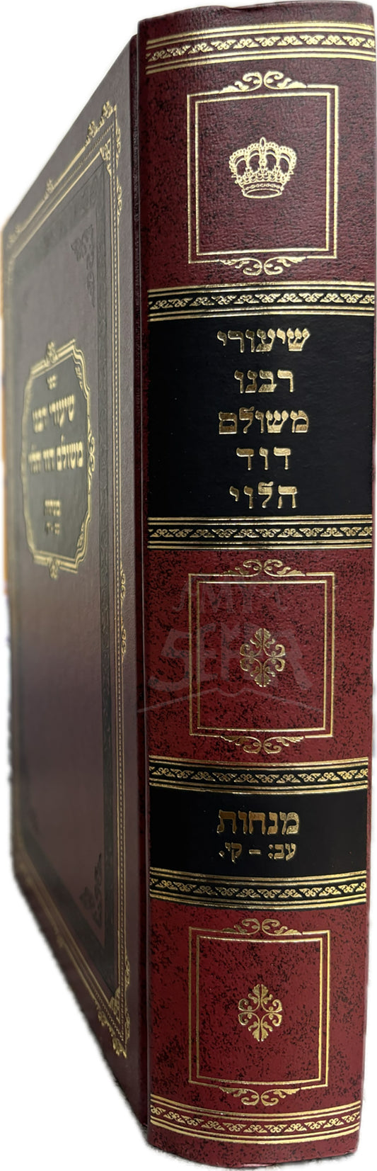 Shiurei Rabeinu Meshulam Dovid HaLevi / שיעורי רבנו משולם דוד הלוי