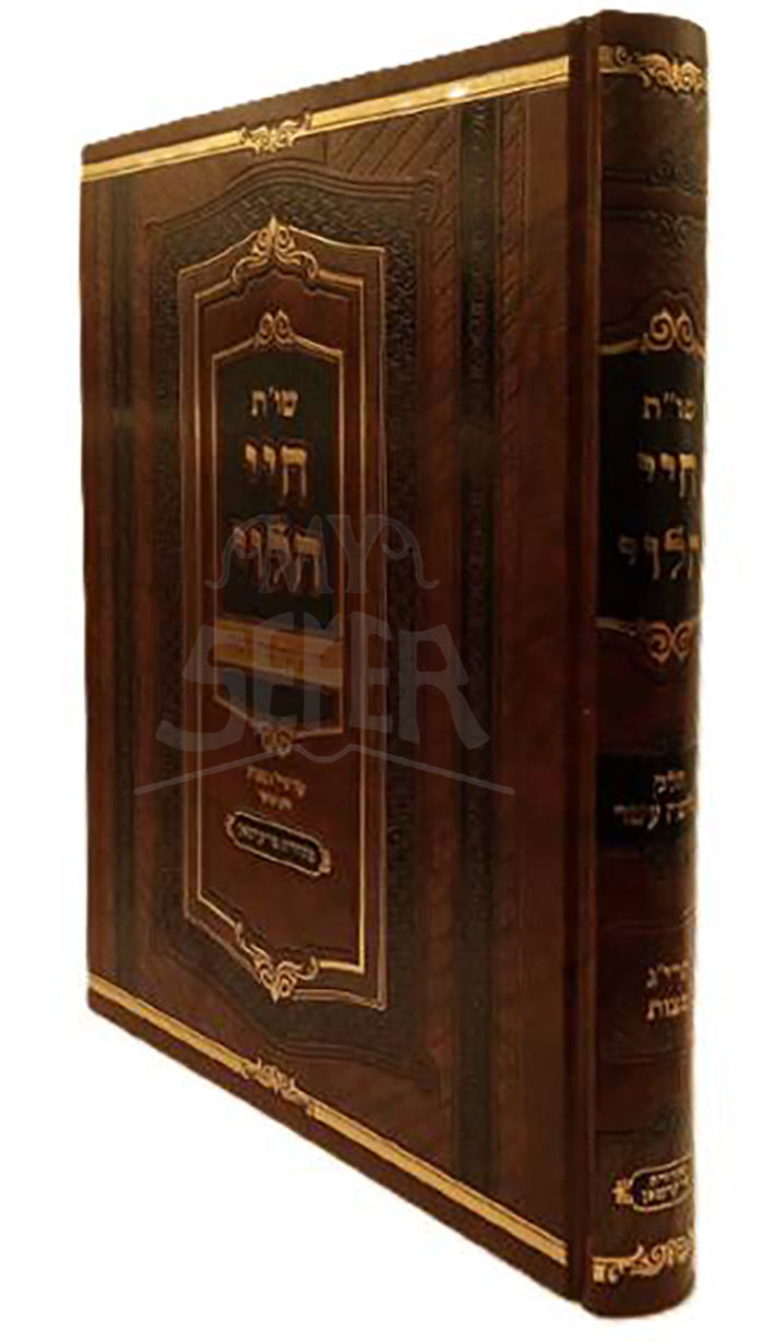 Shut Chayei HaLevi / שו"ת חיי הלוי