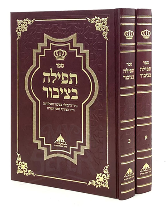 Tefillah BeTzibbur [2 volumes] / ספר תפלה בציבור - ב"כ