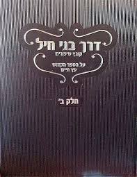 Derech Bnei Chayil : Kovetz Shiurim al Etz Chaim (vol. #12)