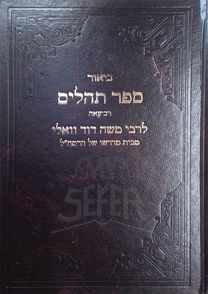 Biyur Sefer Tehillim / ביאור ספר תהלים