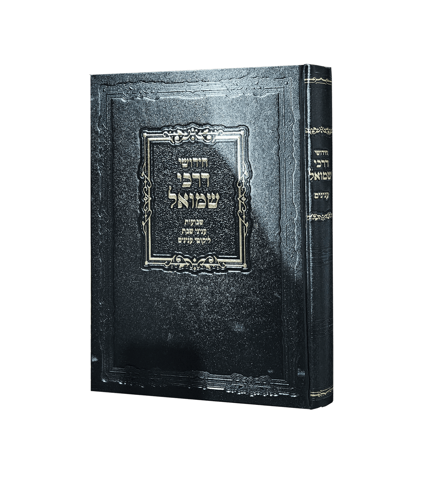 חידושי דרכי שמואל