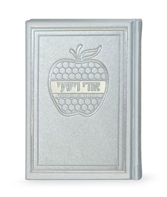 Hard cover Ori Ve’Yishi Apple design Silver