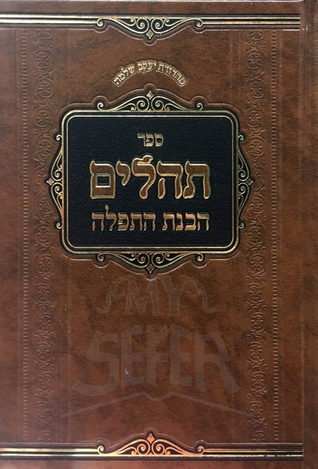 Tehillim Havanat HaTefilah