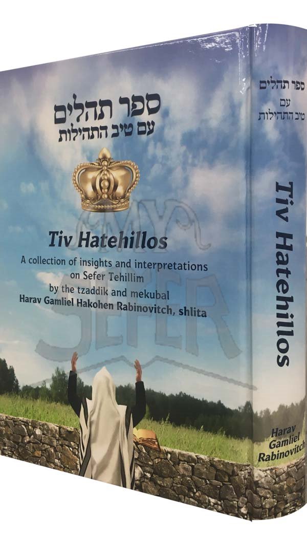 Tiv HaTehillos on Tehillim : Harav Gamliel Rabbinovitch