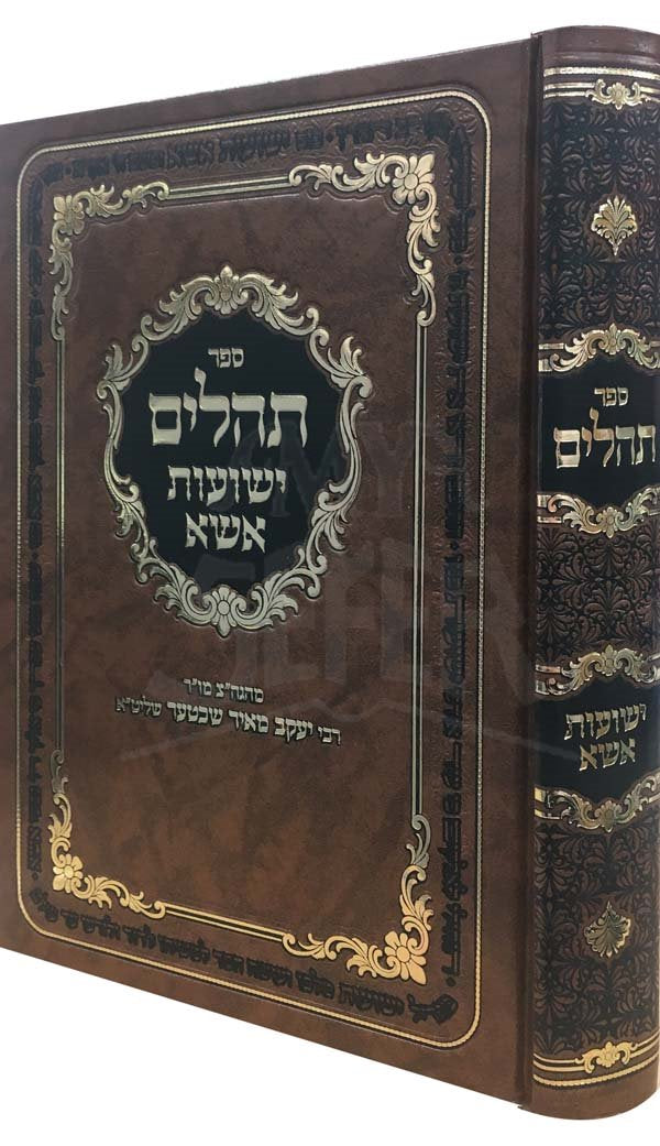 Tehillim Yeshuot Essa - Rabbi Yaakov Meir Shechter (Large Size 9.5" x 7")