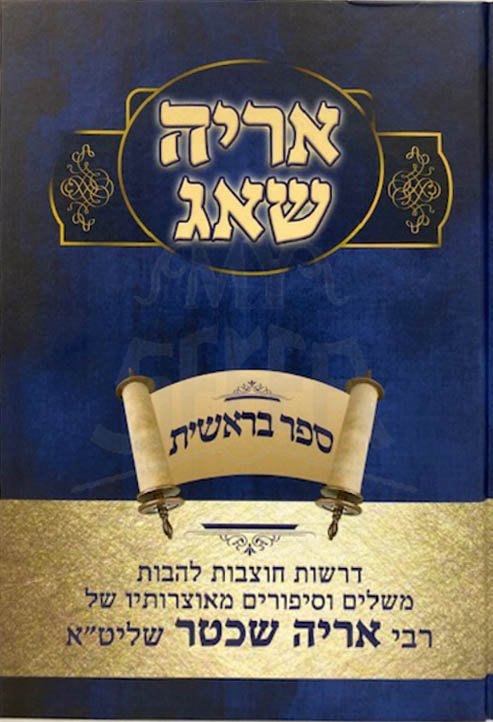 Aryeh Shuag - Rav Aryeh Shechter (Bresheet)