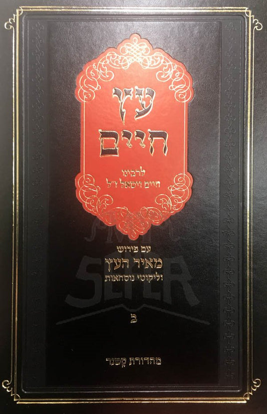 Etz Chaim : Likutei Nuschaot - Meir HaEtz (Rabbi Yehoshua Lipschitz)