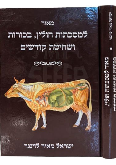 Maor Lemesecet, Berachot UShechitah Kadish