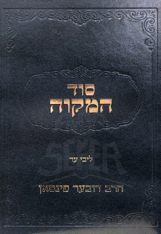 Sod HaMikvah - HaRav DovBer Pinson