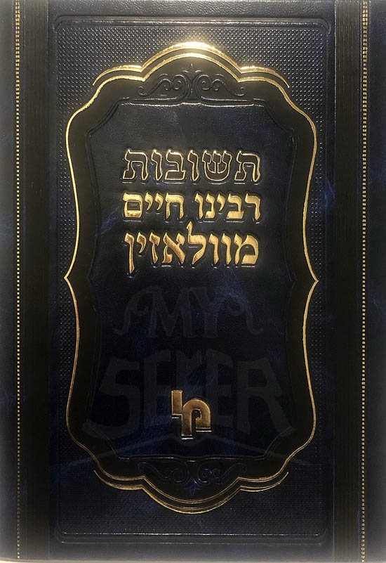 Teshuvot Rabeinu Chaim Mivolozhin