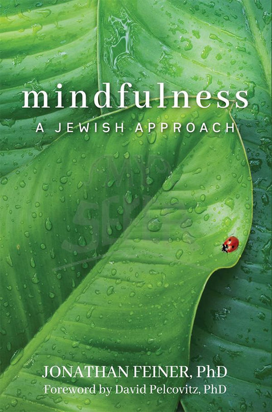 Mindfulness - A Jewish Approach