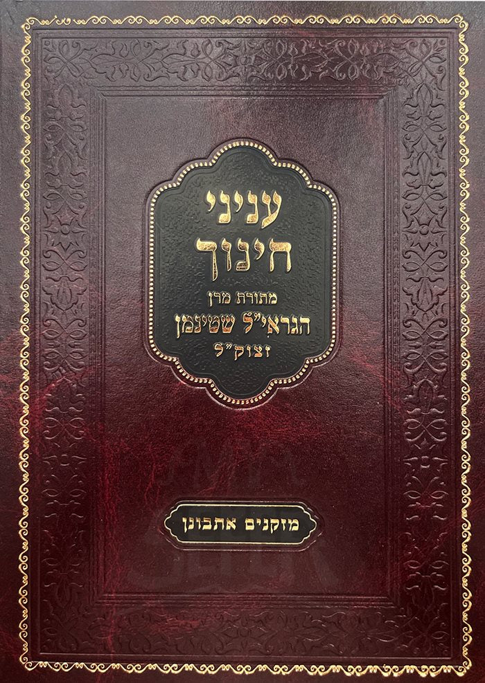 Inyanei Chinuch - HaRav Shteinman