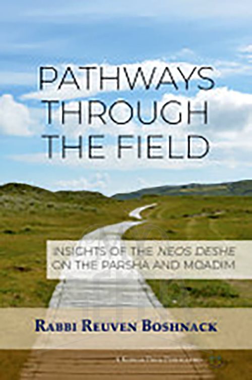 Pathways Through the Field P/B-Boshnack