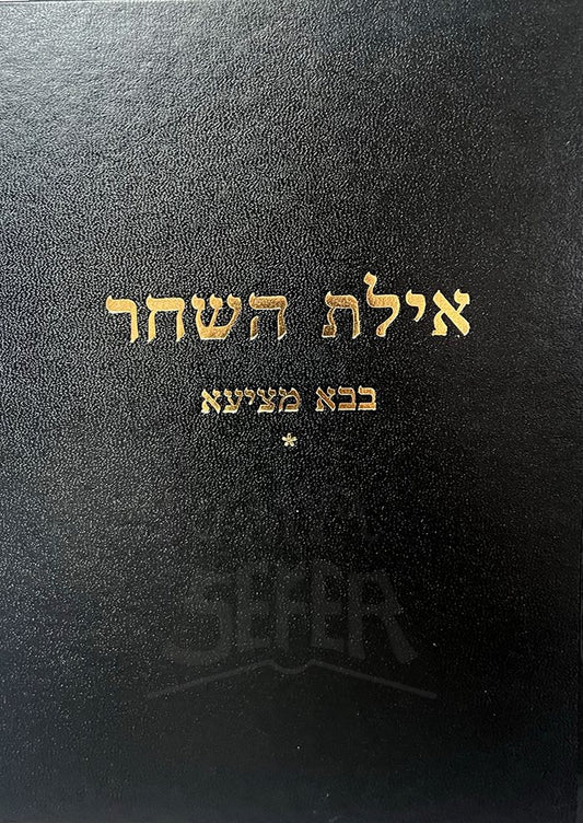Ayelet HaShachar - Bava Metzia Vol.1