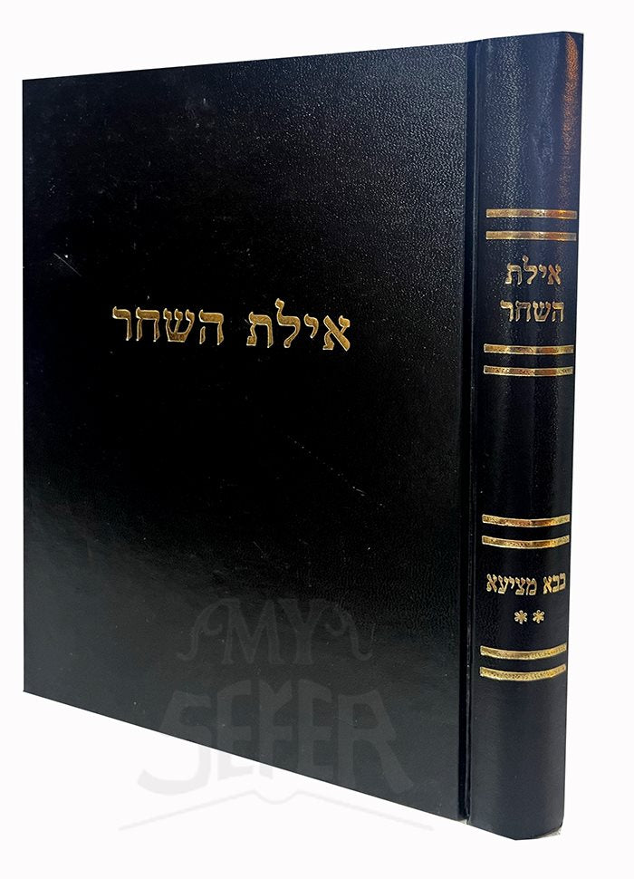 Ayelet HaShachar - Bava Metzia Vol.2