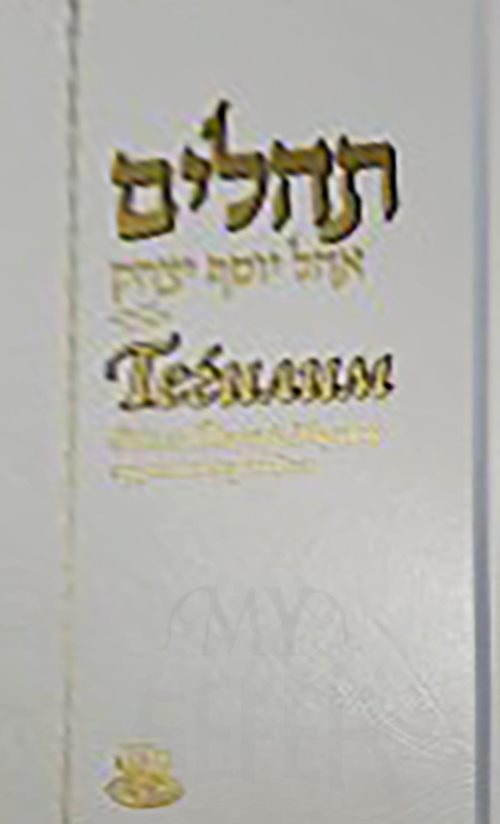 Tehillim Hebrew-Russian Large/Chazan Edition Deluxe Cover 7½ x 11 [Псалмы Давида, большой] - With silver gilding