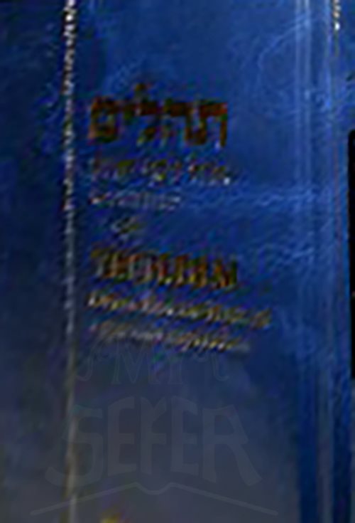 Tehilim, Ohel Yosef Yitzchok - Medium Size [Псалмы Давида, большой] - Blue