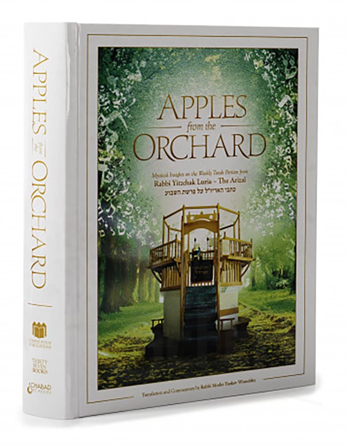 Apples from the Orchard by Moshe Wisnefsky