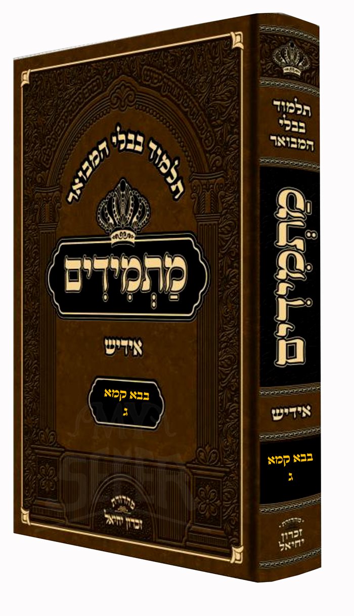 Talmud Bavli Hamevoar Matemidim Yiddish