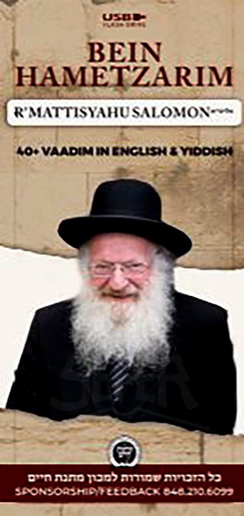 Rav Mattisyahu Salomon Vaadim - Bein Hametzarim - USB