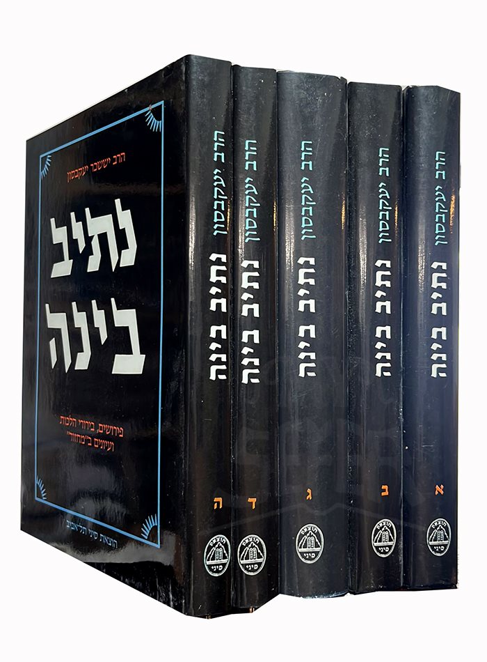 Netiv Binah al HaSiddur : Rabbi Yisachar Yaakovson (5 vol.)